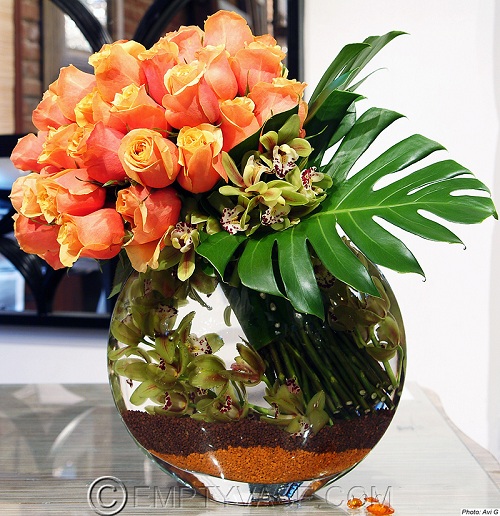 Calling it Home Tangerine........ Roses!