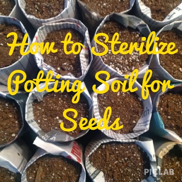 Katie's Farm How to Sterilize Potting Soil for Seeds