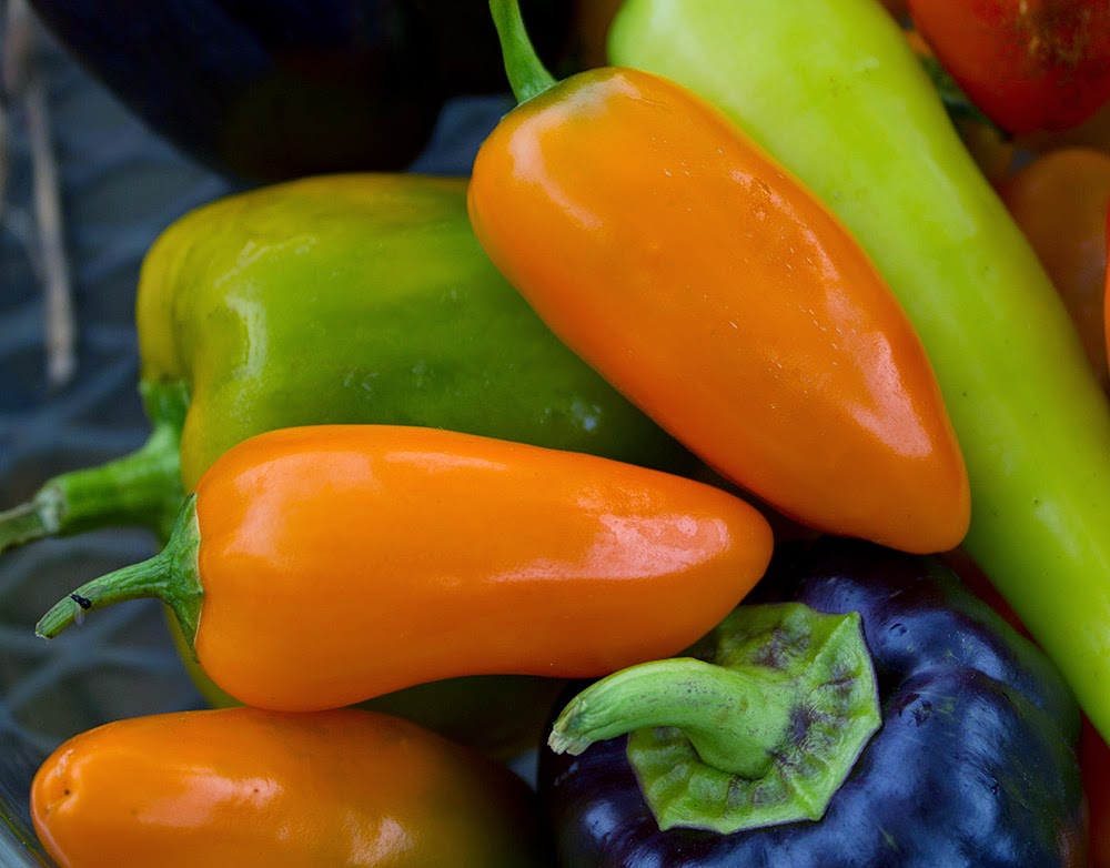 Rurification Peppers