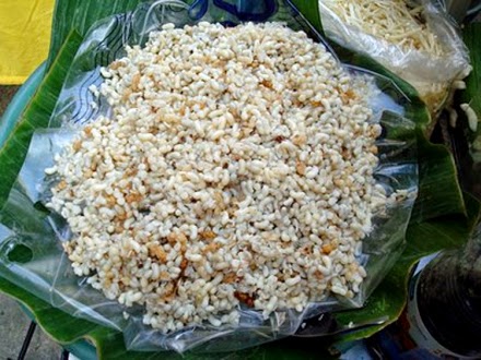 Ternak Kroto Semi Alam Kroto Jogja Ternak Kroto Semi Alam