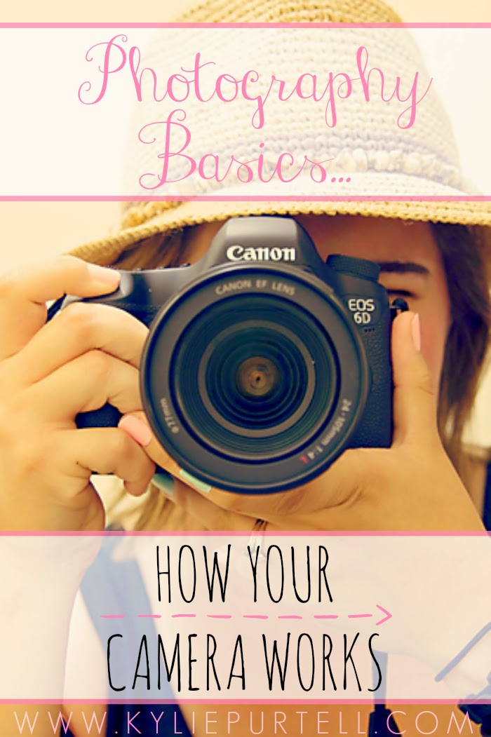 photography basics, how a camera works