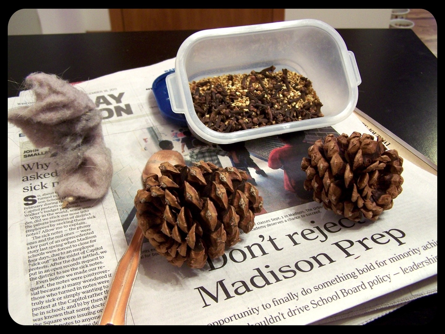 DIY Fire Starters Bona Fide Boho