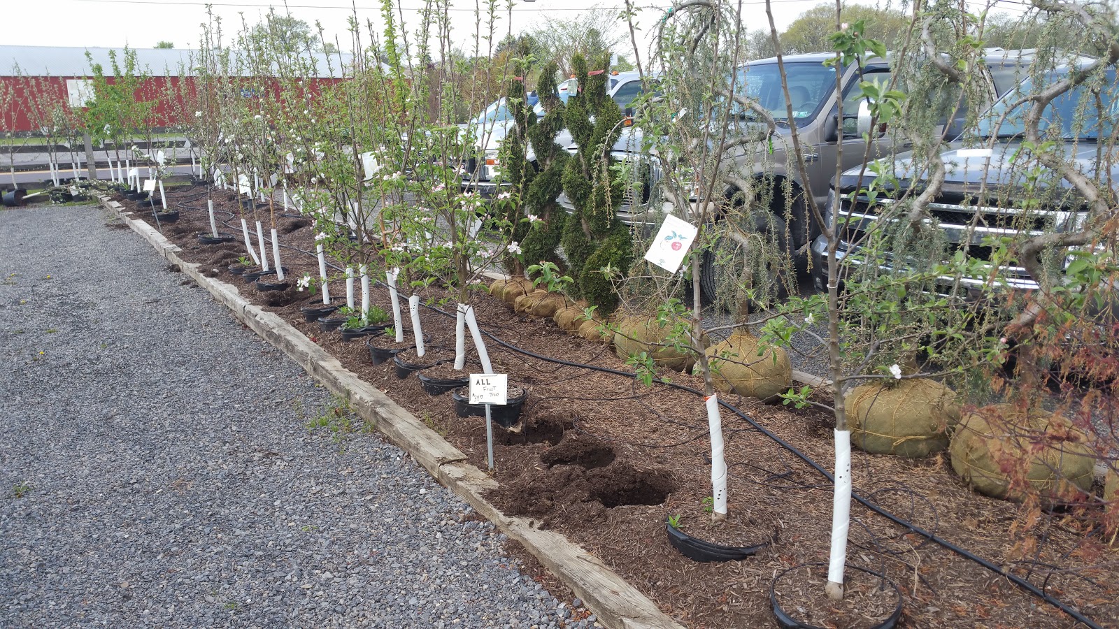 TURBOTVILLE LANDSCAPE AND SUPPLY Trees