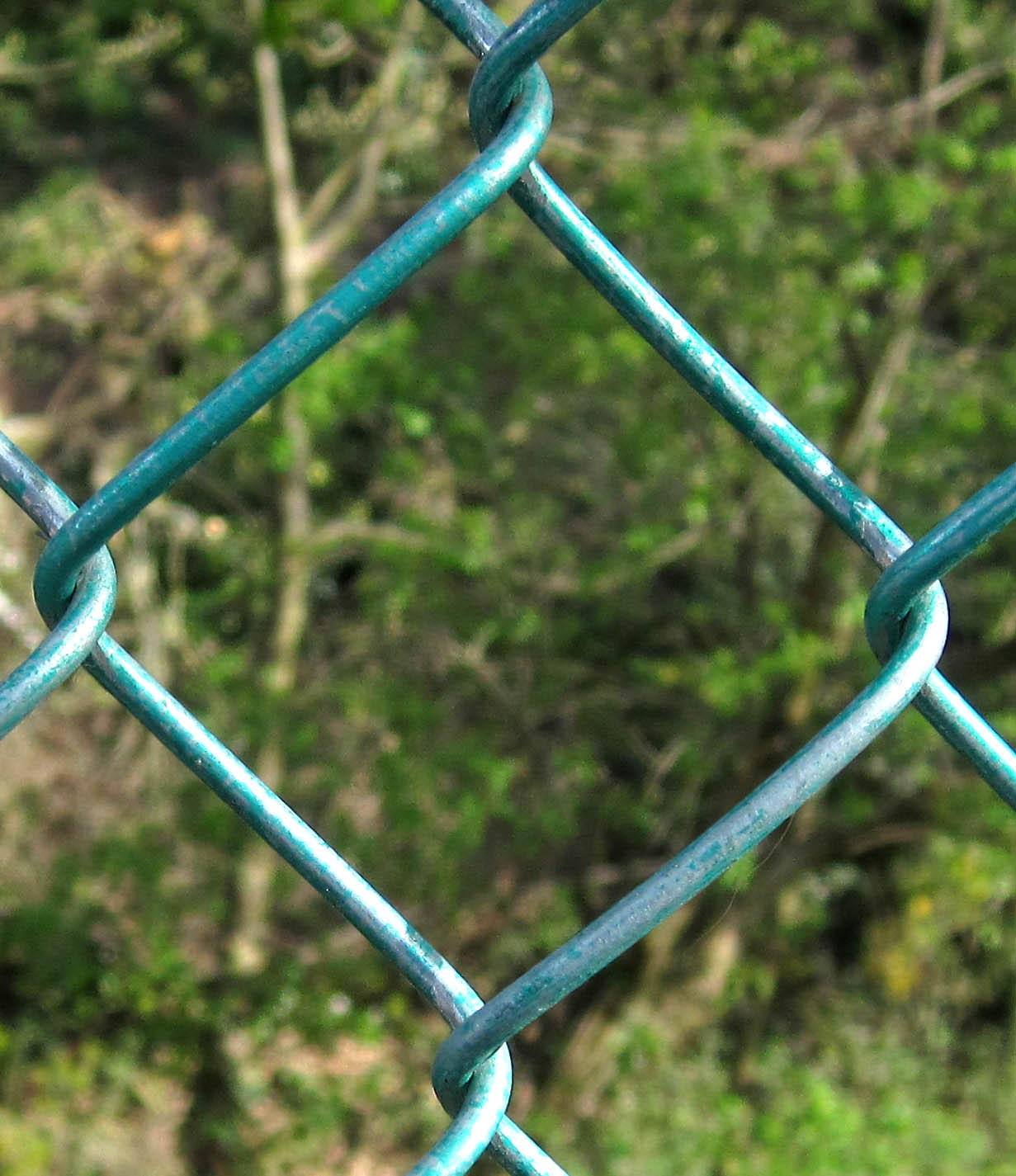 Mesh Fence Minutiae Naturally
