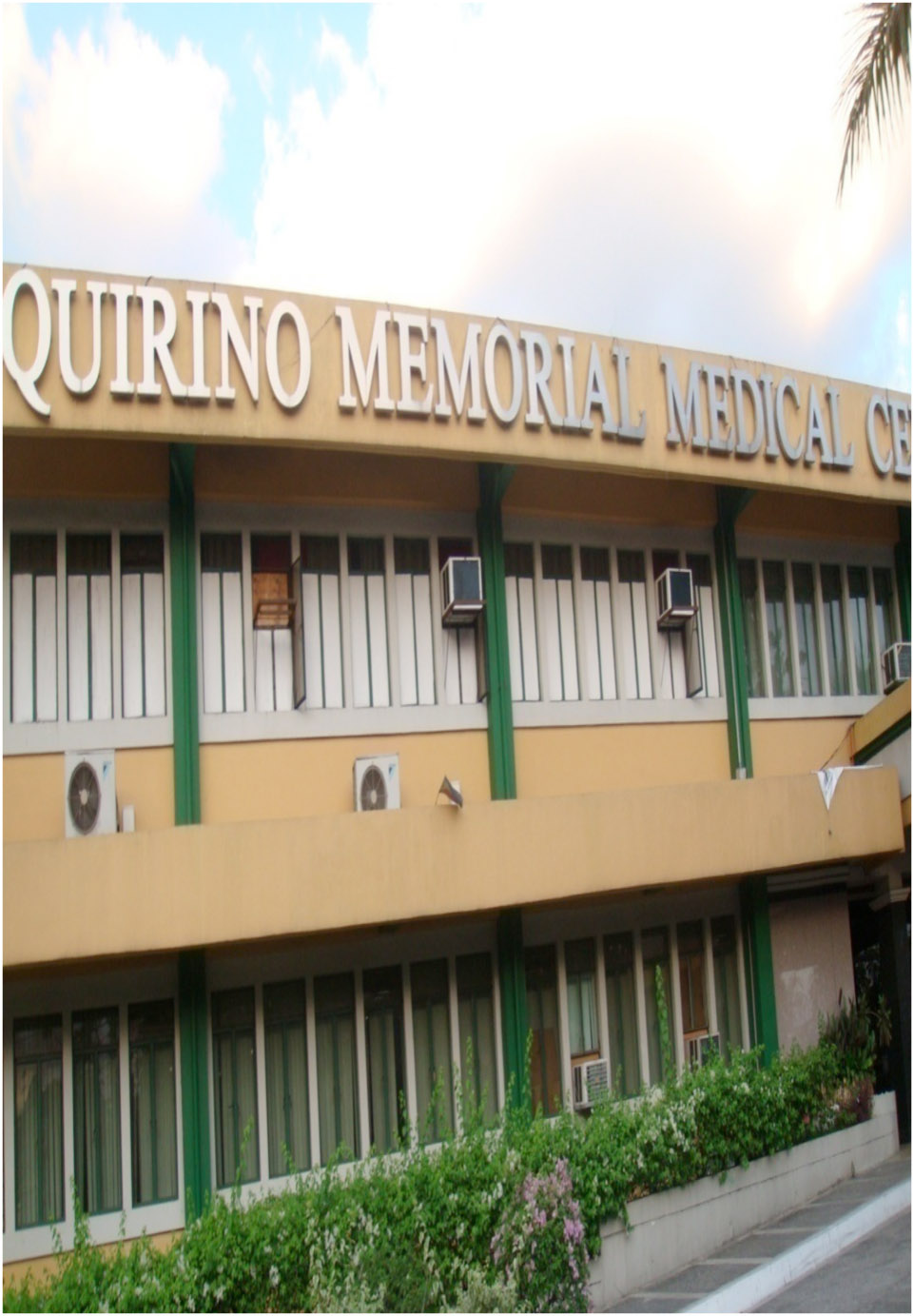 Quirino Memorial Medical Center Organizational Chart