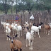    Prefeito de Prata prolonga mais ações para o produtor de leite de cabra do município.