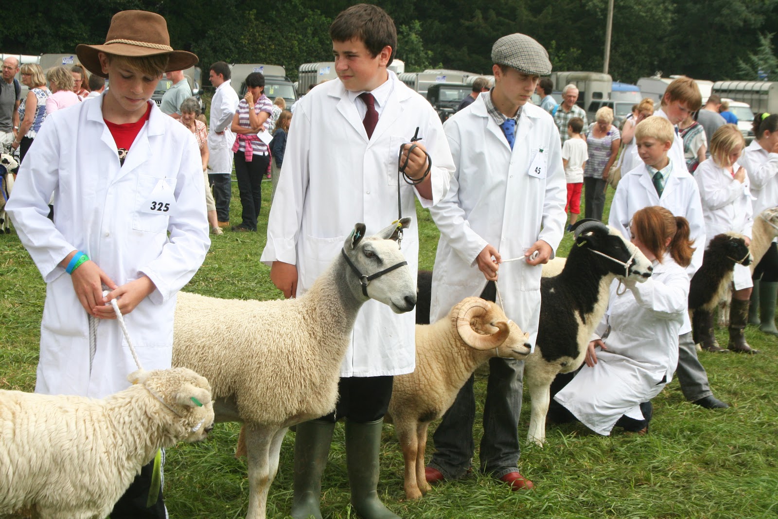 Creative Somerset Mid Somerset Show today (Shepton Show)