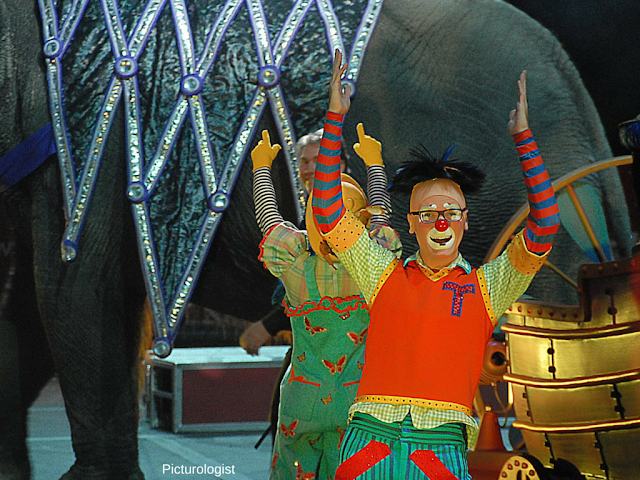 Clown at Ringling Bros and Barnum and Bailey Circus Xtreme photo by K., Johnson, Picturologist 