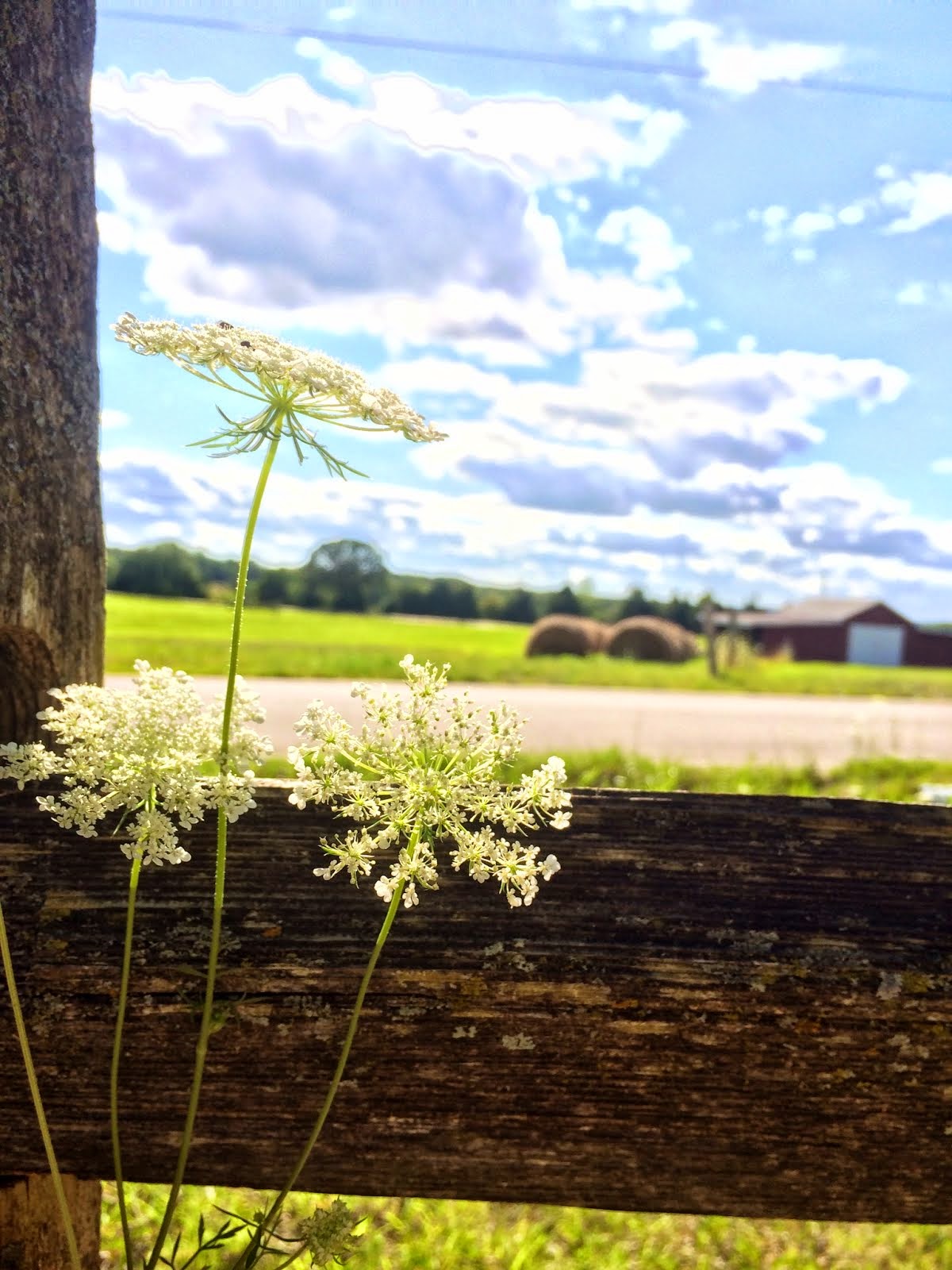 Blue Skies and Lace