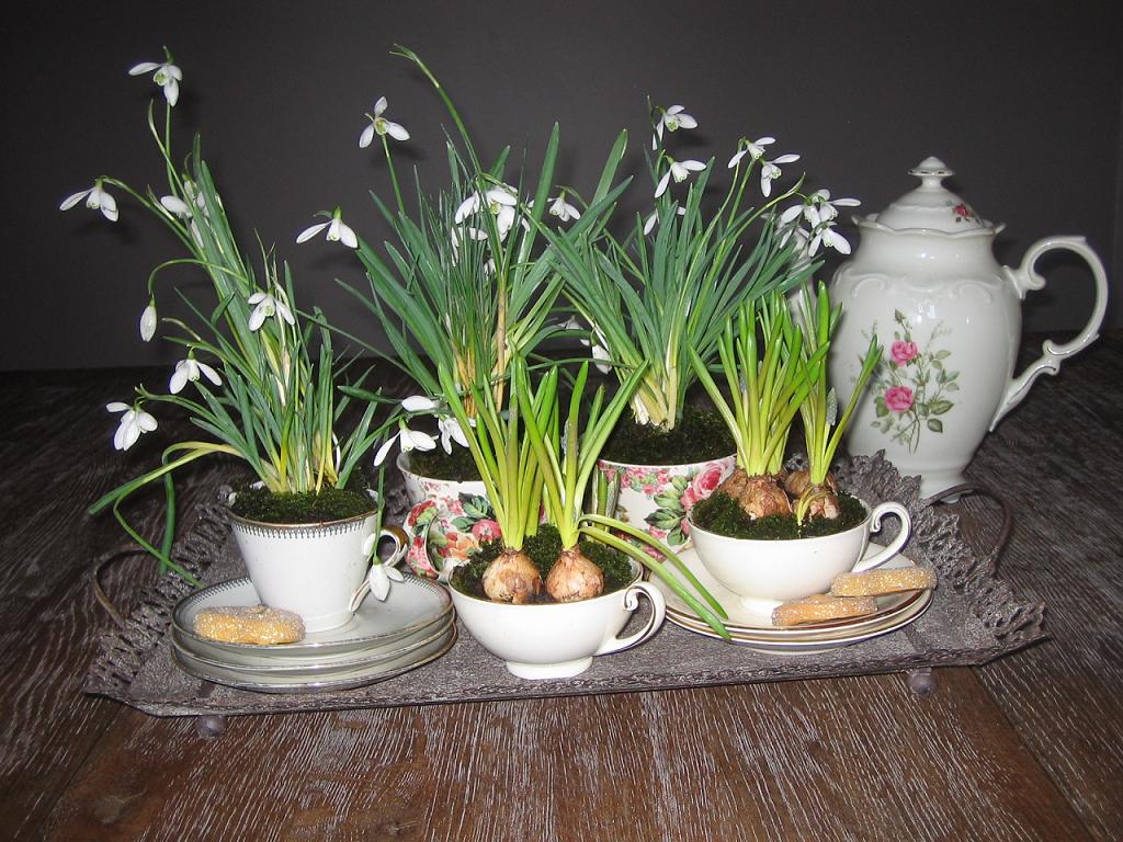 Vision on living: februari 2012