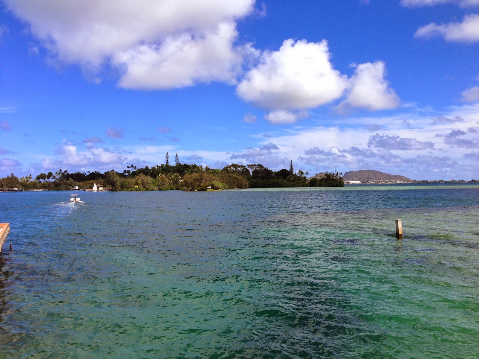 TASTE OF HAWAII COCONUT ISLAND (MOKU O LO'E) GILLIGAN'S ISLAND