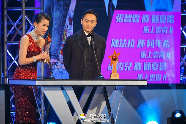 TVB Star Awards Malaysia 2013 Winner List | TVB馬來西亞星光薈萃頒獎典禮 2013得奖名单