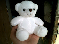 Boneka Bear, Beruang
