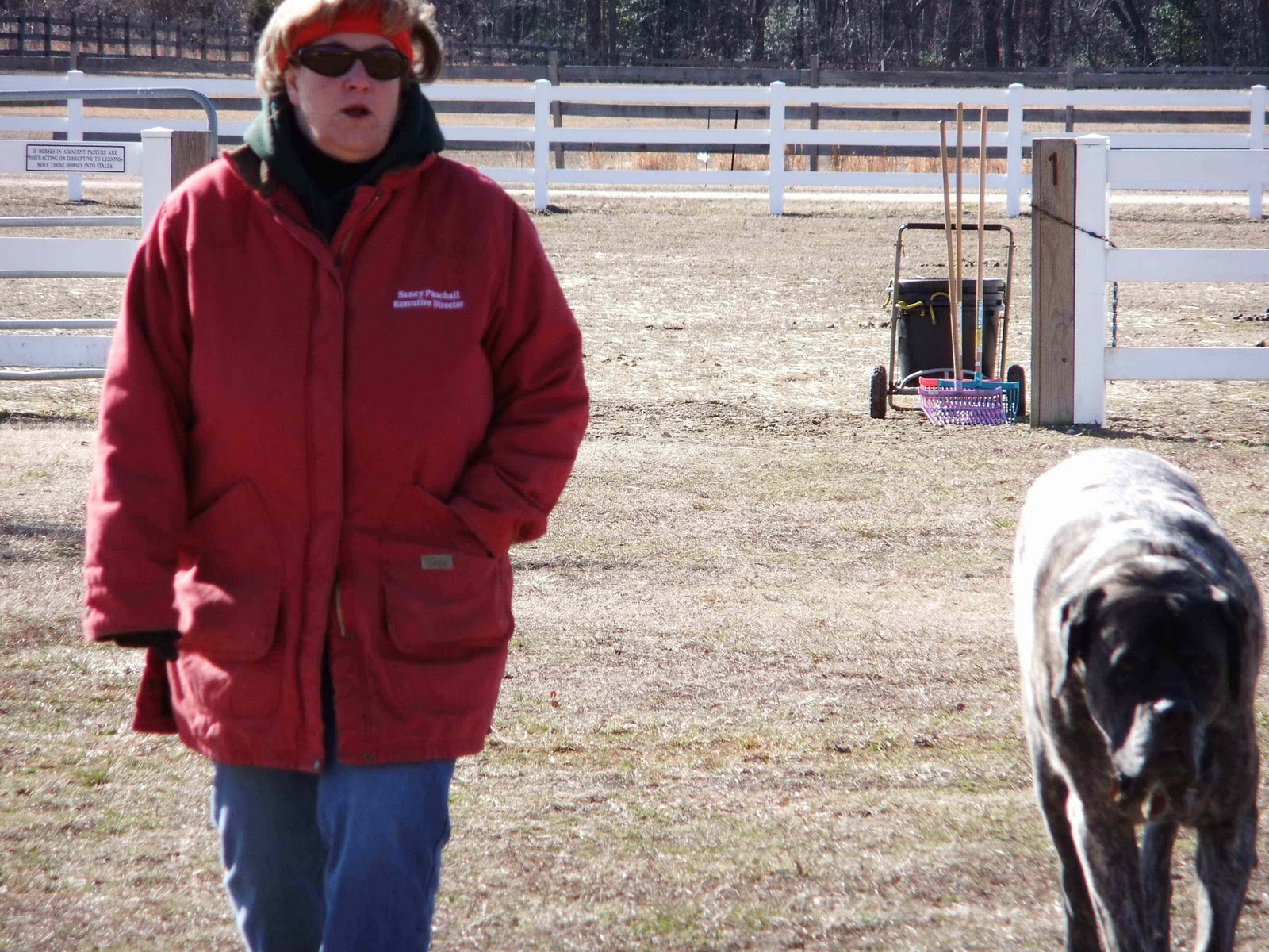 lindaraepursuitofjoy Williamsburg VA to WinstonSalem NC to Franklin