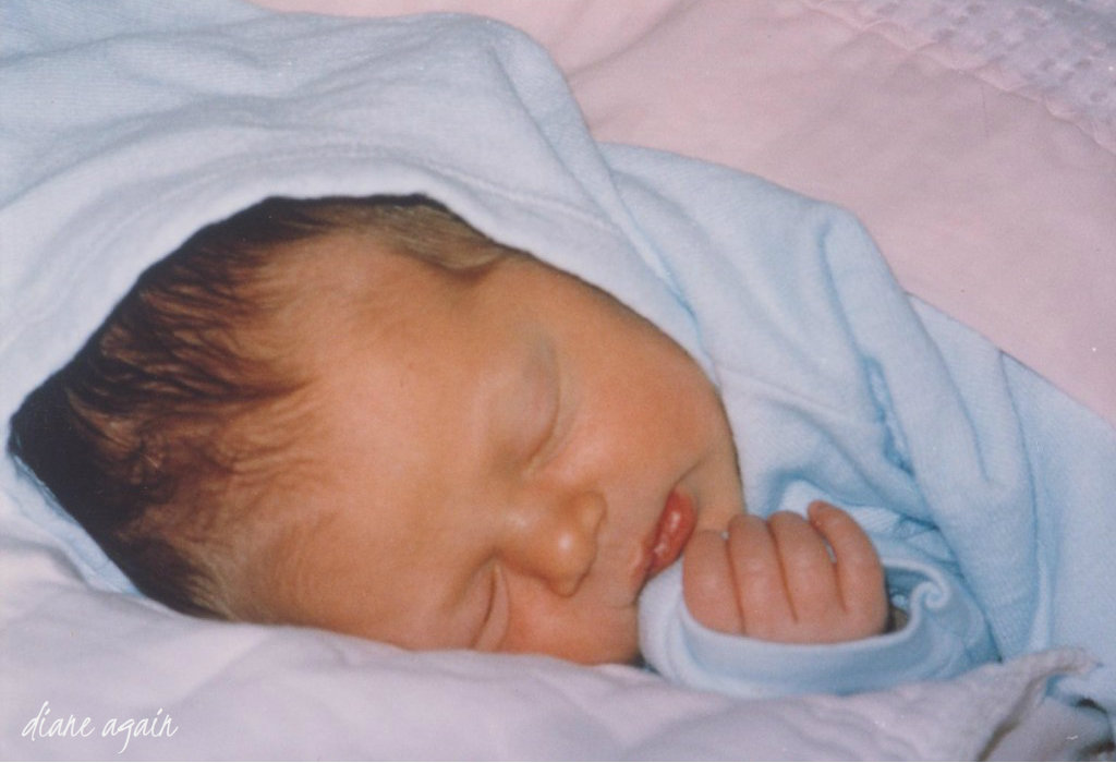 Diane Again What Babies Can Teach Us About The Berlin Wall