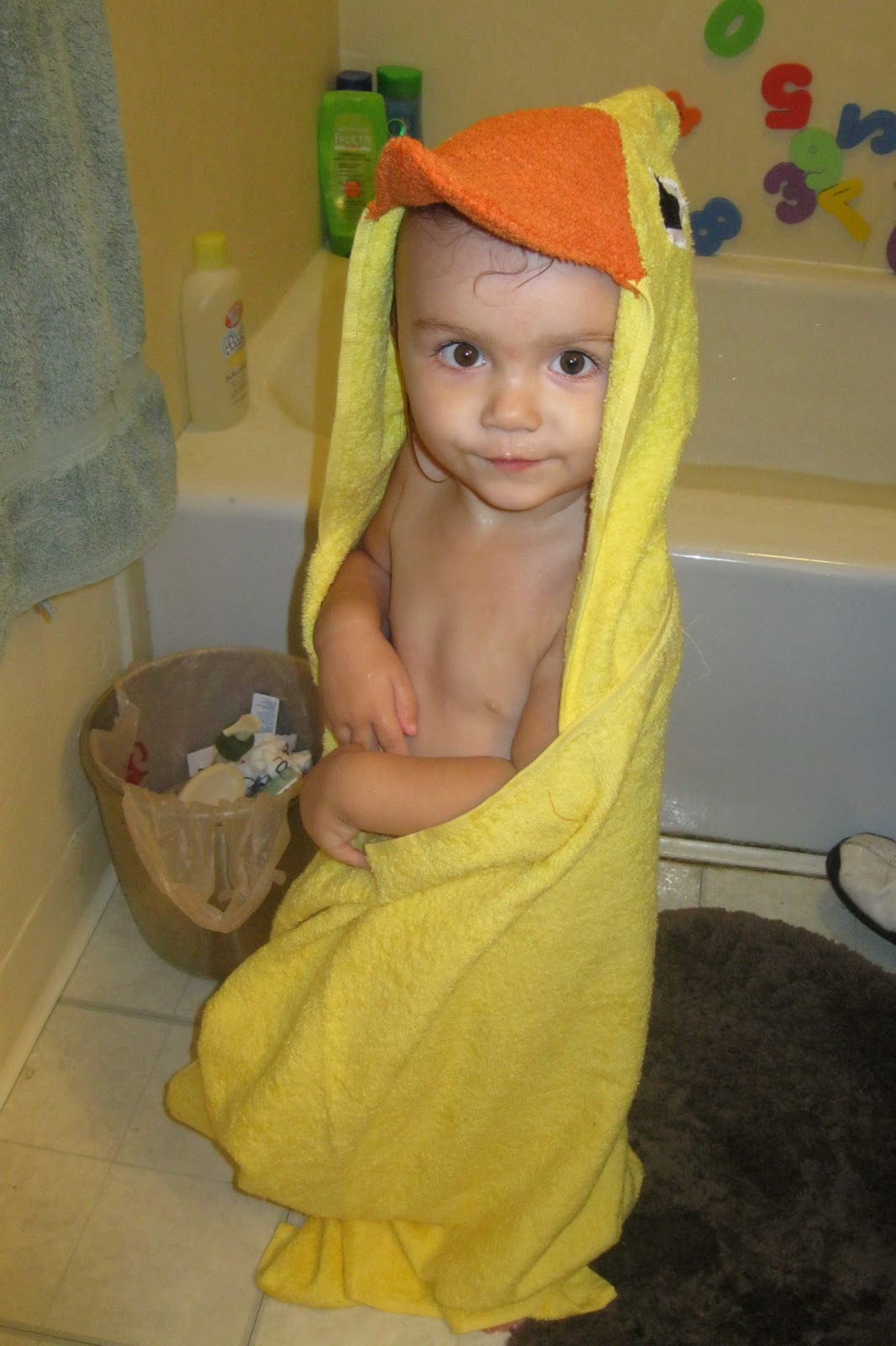 Hooded Duck Towel Tutorial PeekaBoo Pages Patterns, Fabric & More!