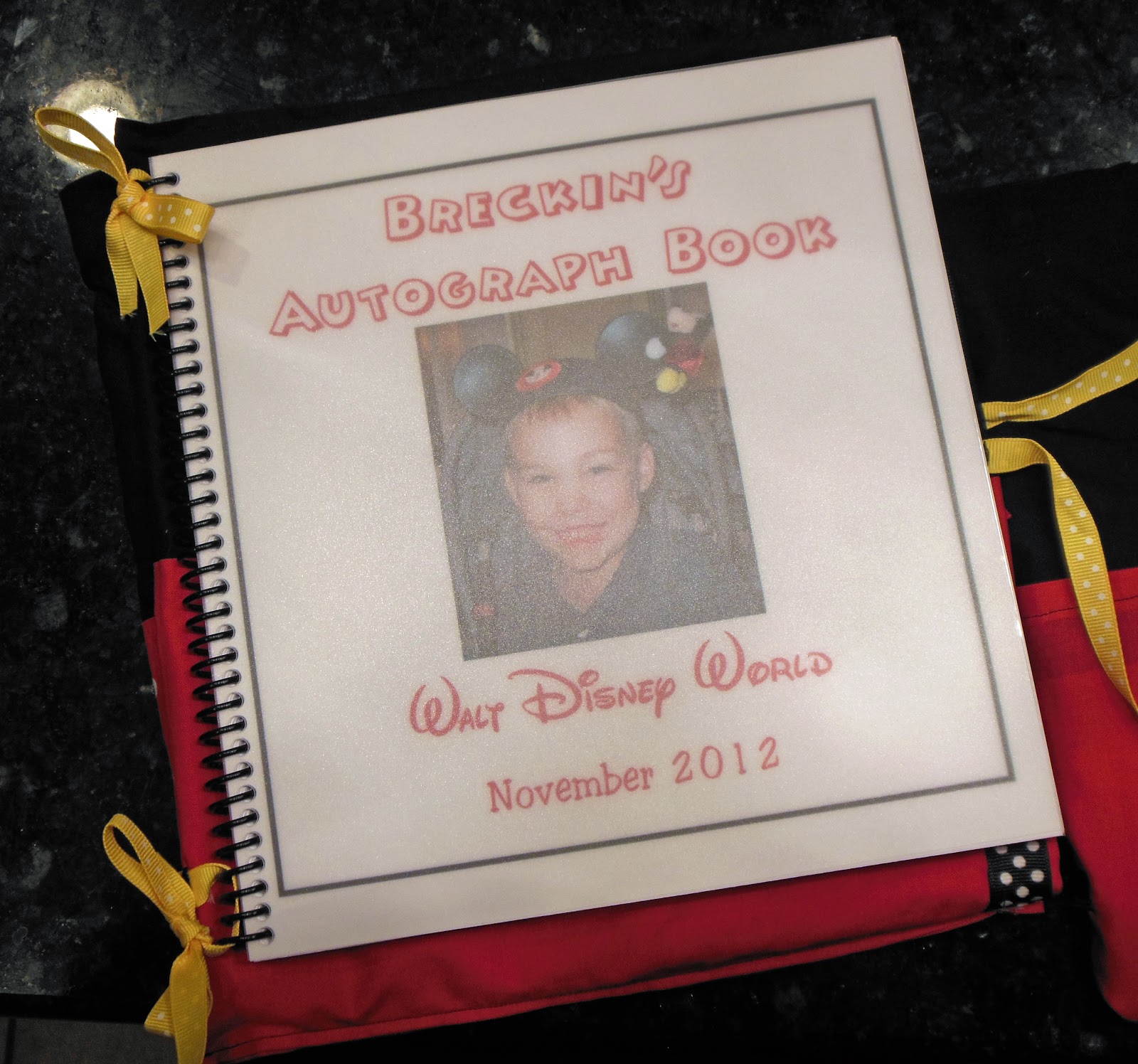 Learning As I Sew...bake, cut, and create DIY Disney Autograph Book
