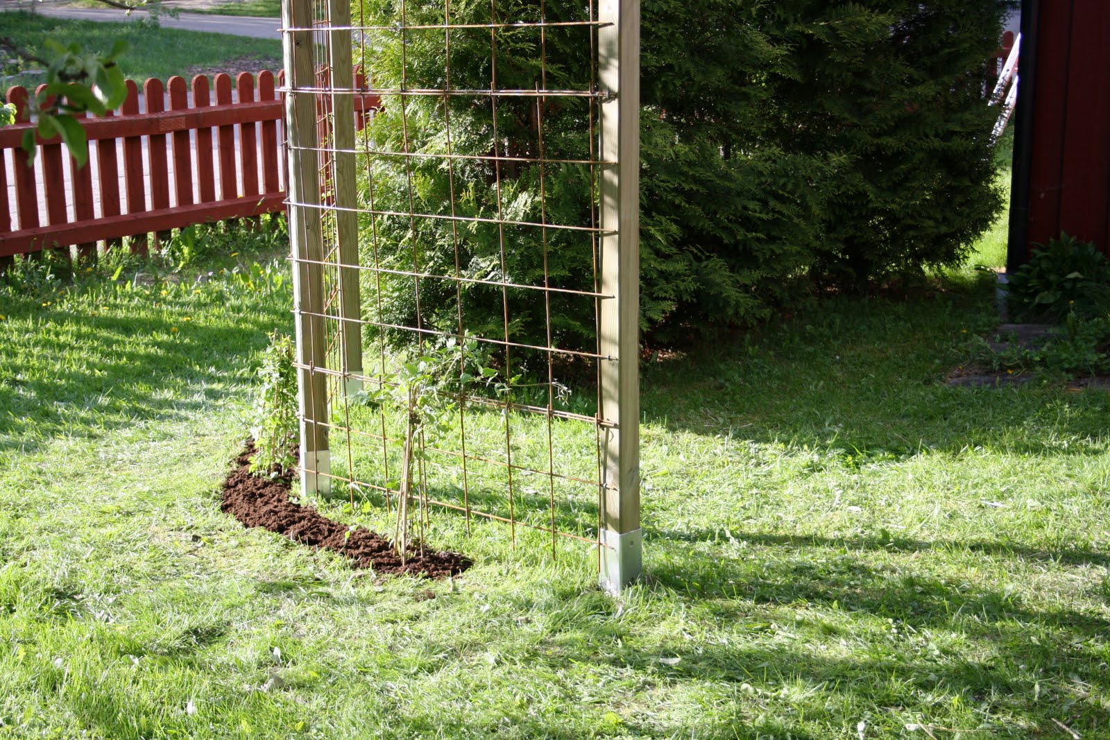 Lantligt i smultronbacken my home: maj 2011