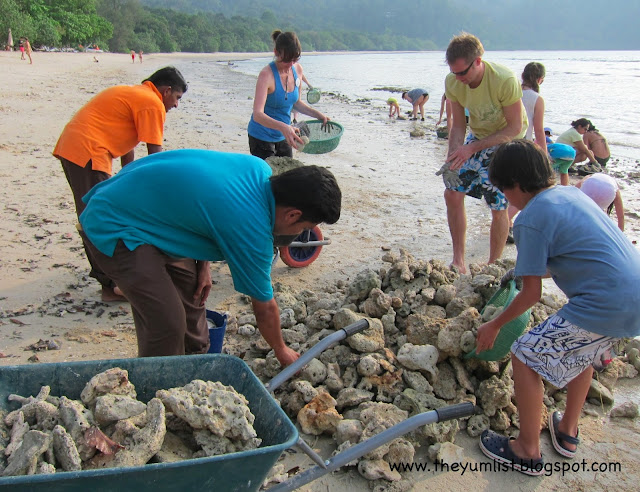 Coral Clearing The Andaman Luxury Resort, Langkawi, Malaysia, Starwood Hotels, Reef and Rainforest Expedition, ecotourism, 5 star accommodation,