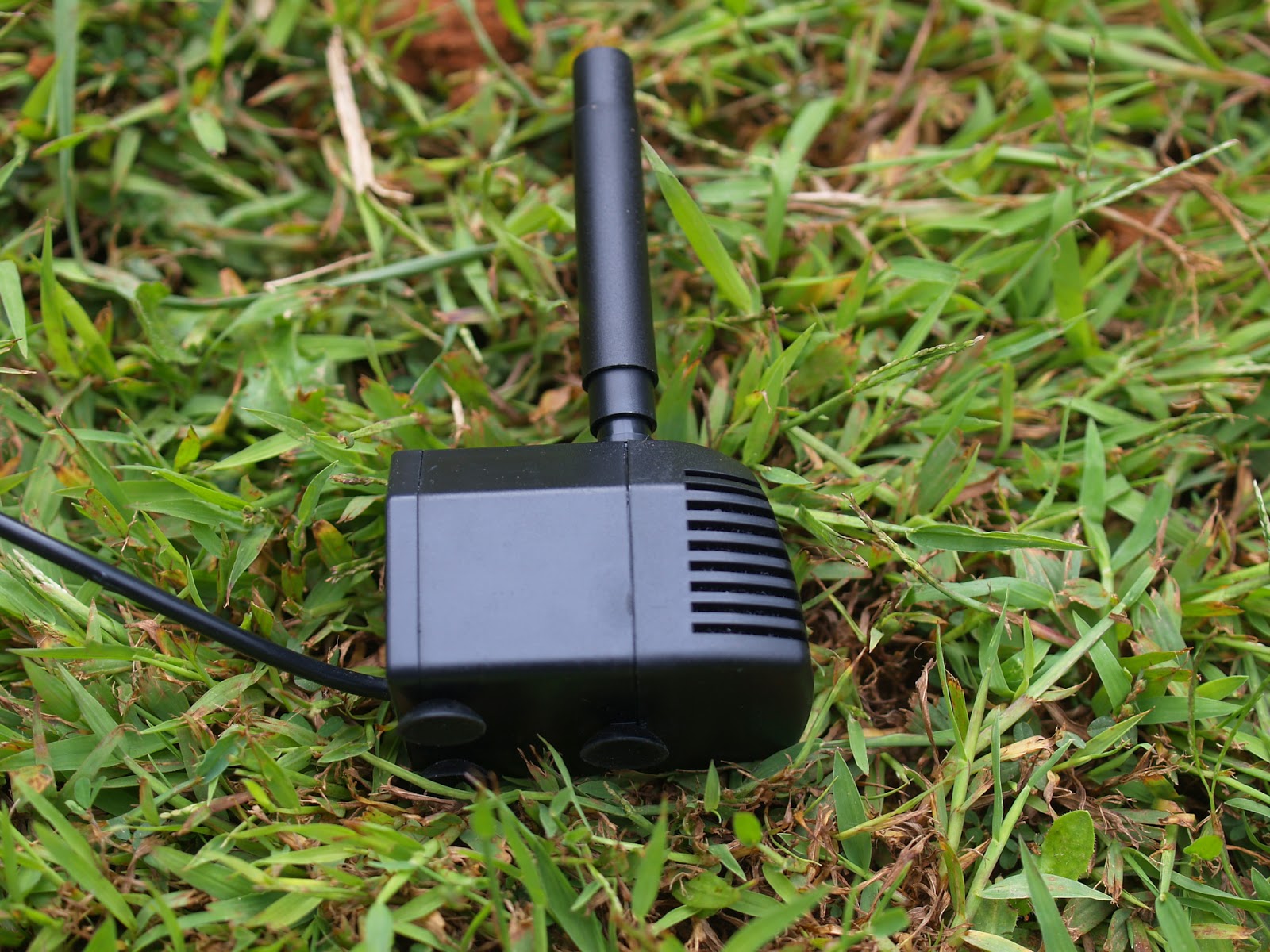 Budding and Blooming Project Watering Can Fountain
