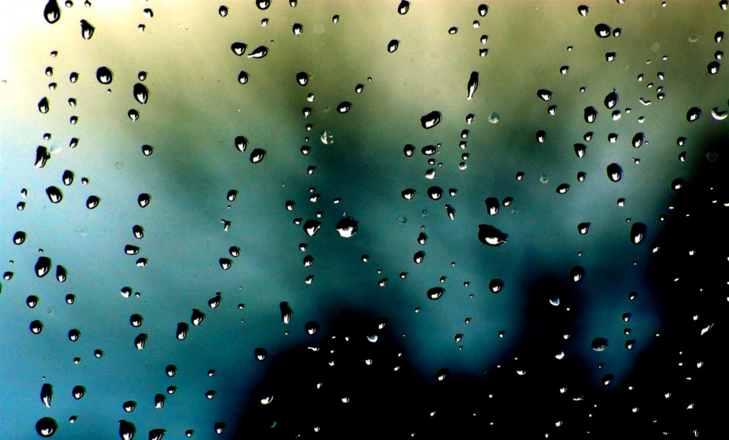 Free Live Wallpapers Desktop 7038854 Free Live Wallpapers Desktop 7038854