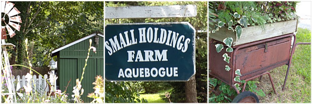 Small Holdings Farm