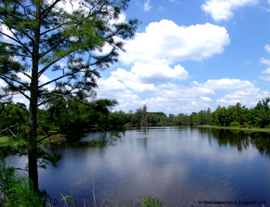 Georgia Country Land Georgia Country Land