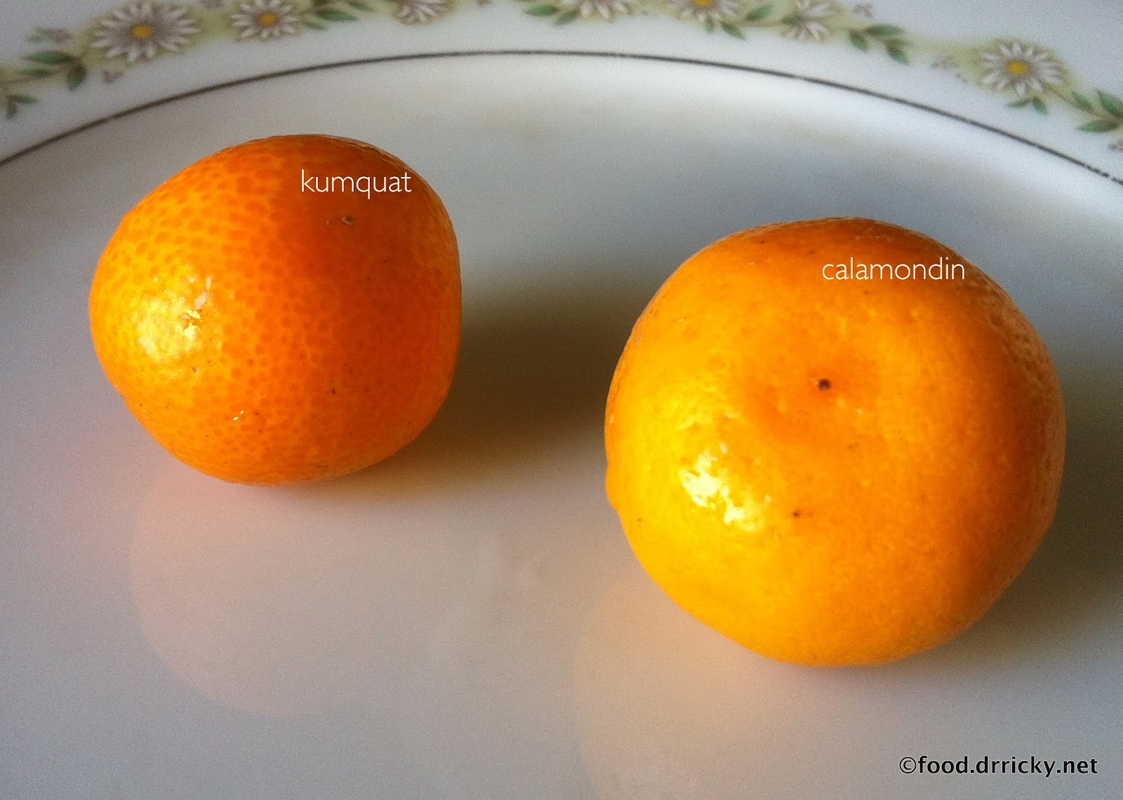 Science Based Cuisine Spot the difference