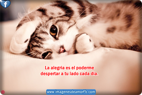 IMAGENES DE AMOR Y TERNURA imagenes de amor y ternura: