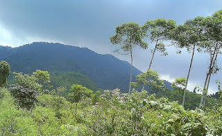 Wisata Gunung Muncung Kabupaten Lingga Dabo Singkep Kepri 2 Wisata Gunung Muncung Kabupaten Lingga Dabo Singkep Kepri 2