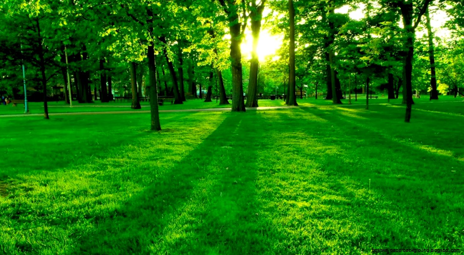 Interpretation of a dream in which you saw «Nature» Interpretation of a dream in which you saw «Nature»