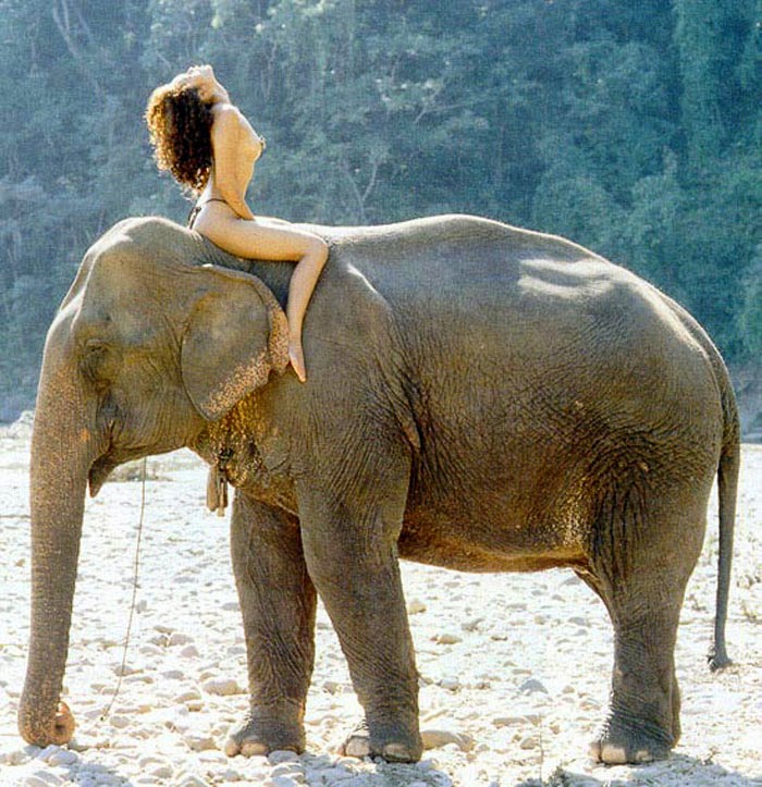 nude woman riding elephant