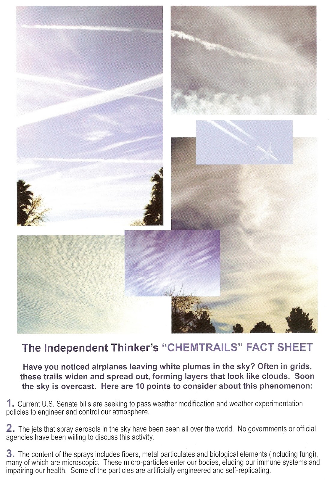 essays on chemtrails essays on chemtrails