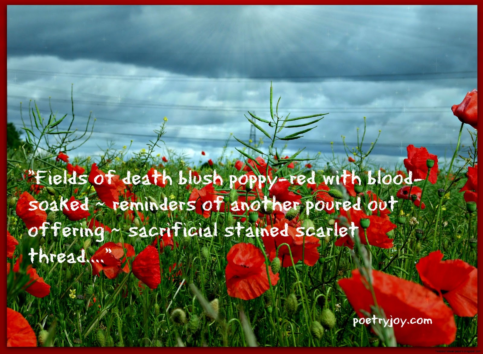 Elysian Fields Golden Elysian Fields Golden