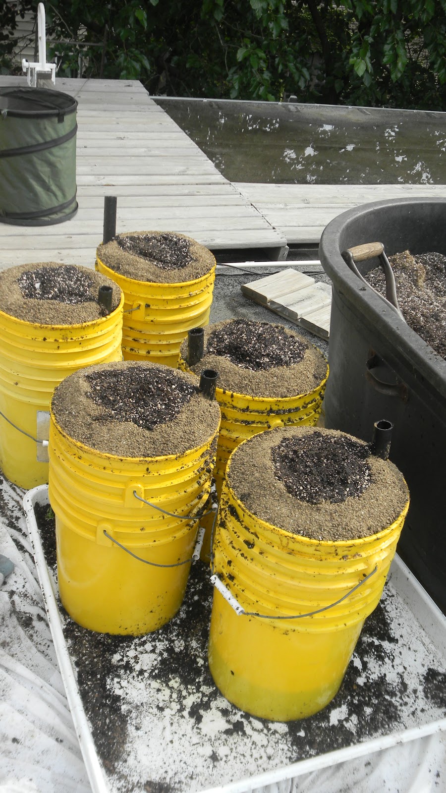 Green Roof Growers Growing Melons in Sub Irrigated Planters (SIPs)