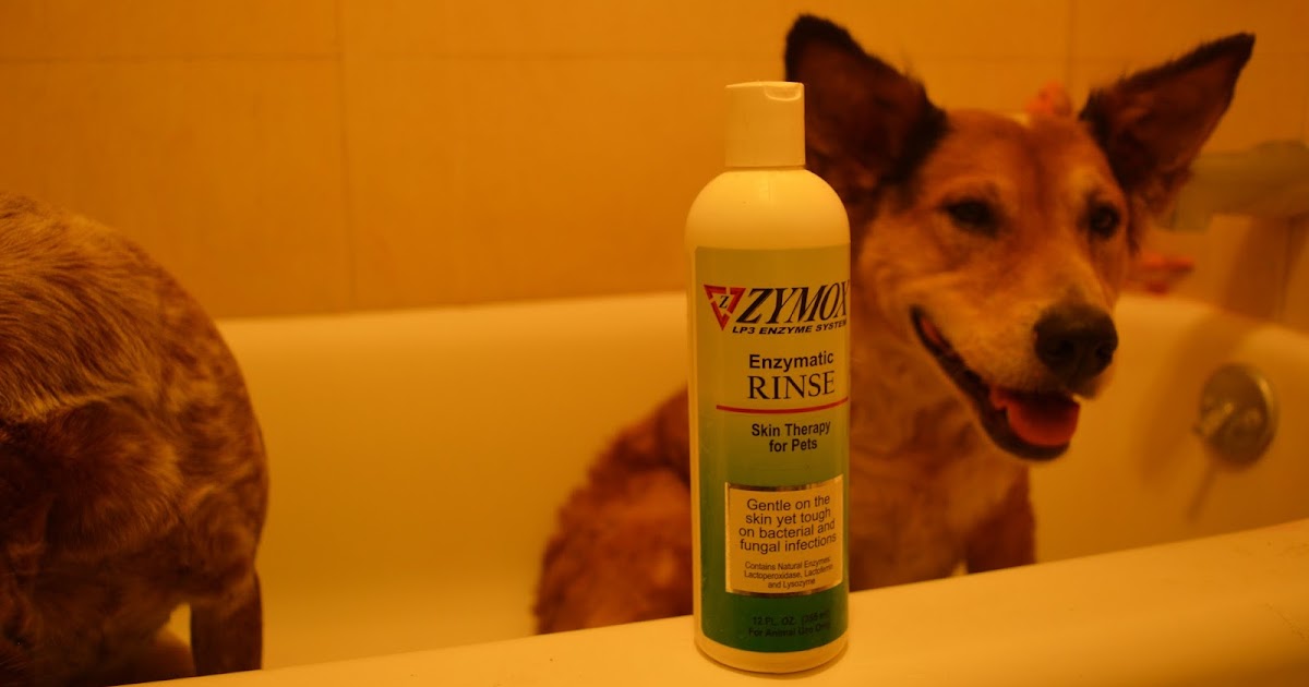 The Dog Geek Paw Spa Zymox Enzymatic Rinse