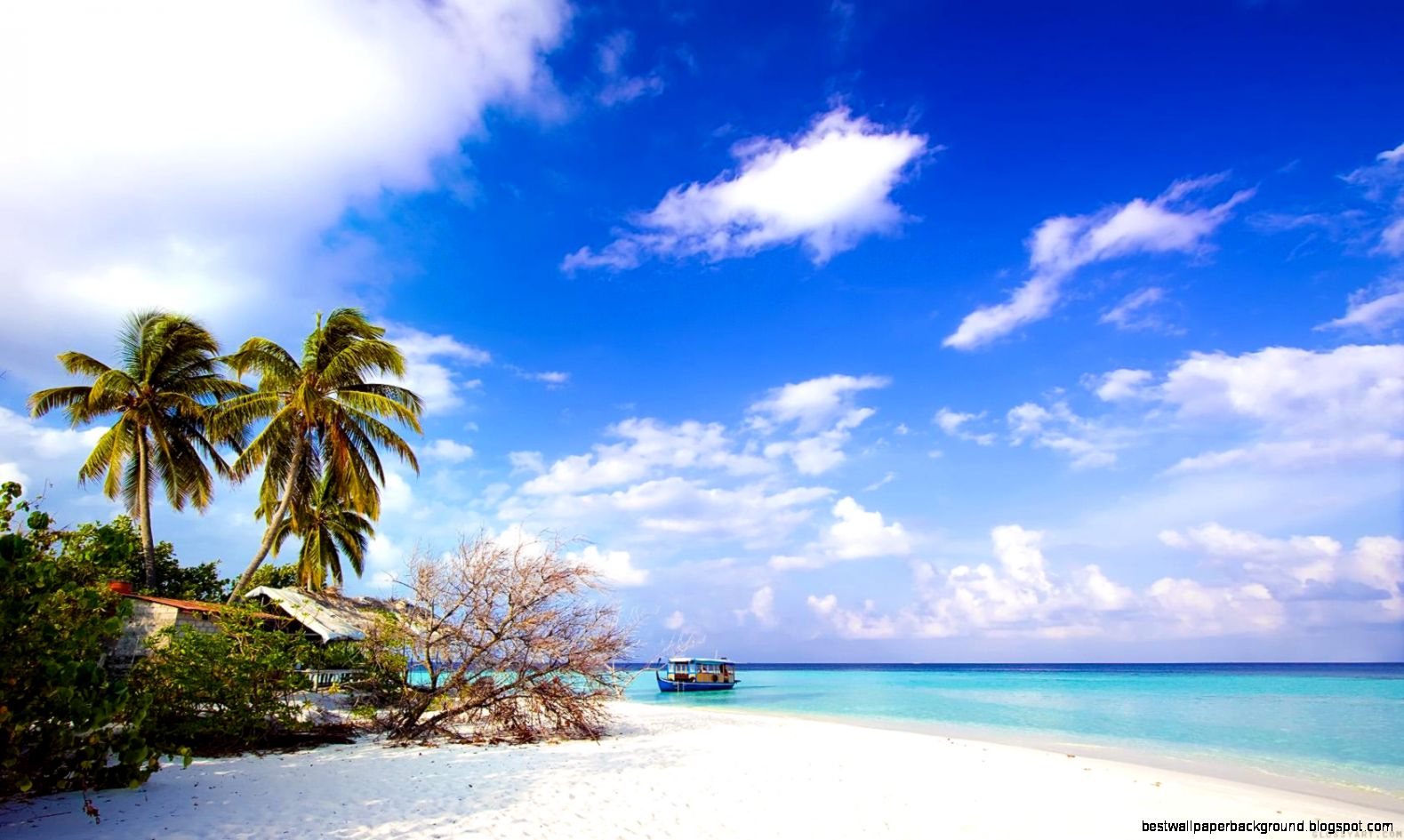 Beach Screensavers For Widescreen Monitors Wallpaper Free HD Beach Screensavers For Widescreen Monitors Wallpaper Free HD