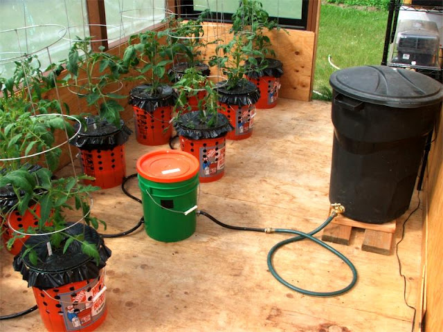 [Alaska+Grow+Bucket+System]