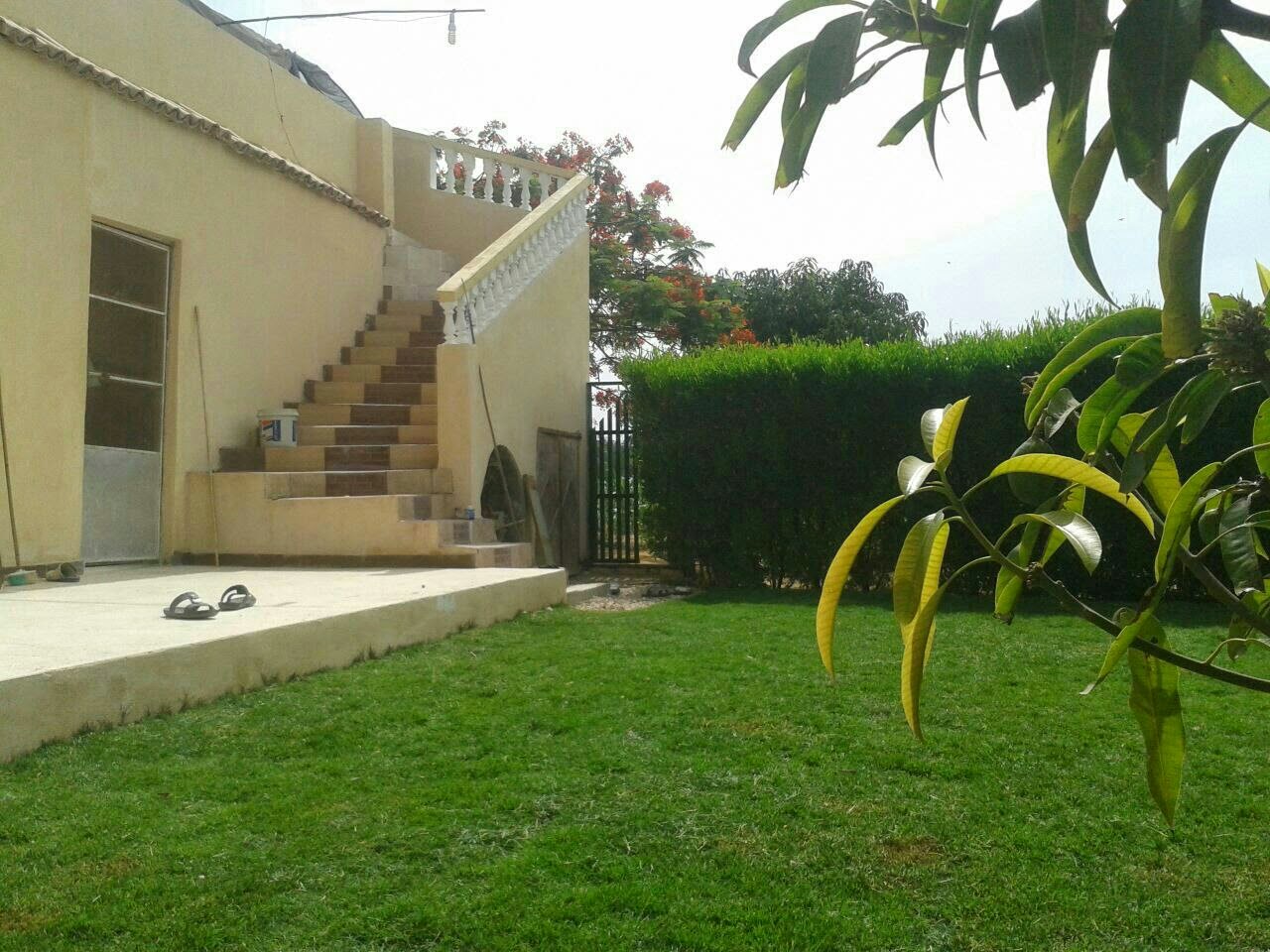 مزرعة للبيع بمساحة 5 افدنة في وادي الملاك Farm For Sale In Ismailia سوق العقارات