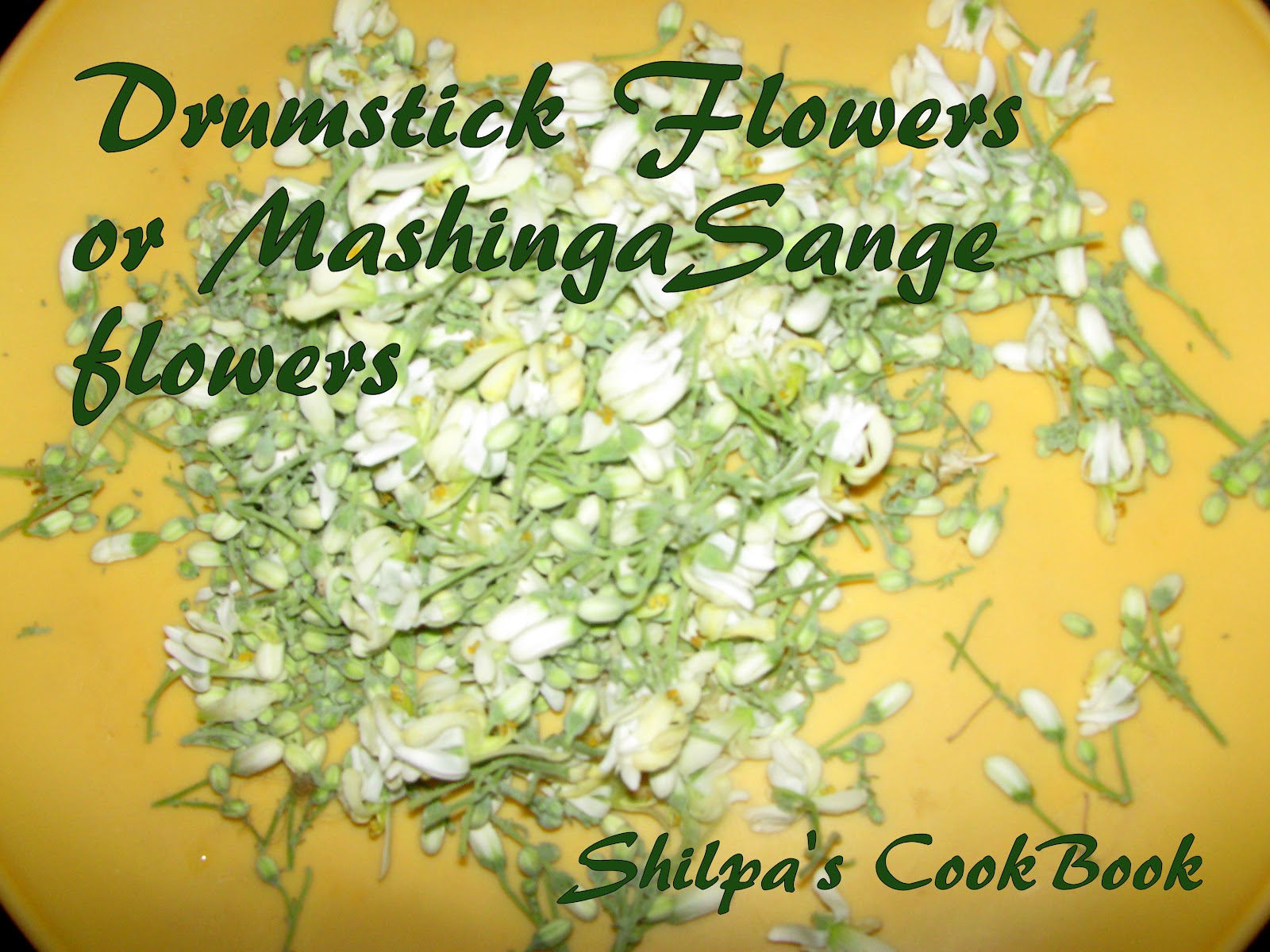 Cook Book Drumstick Flower Pancakes or "Mashinga Sange Phulla Polo"