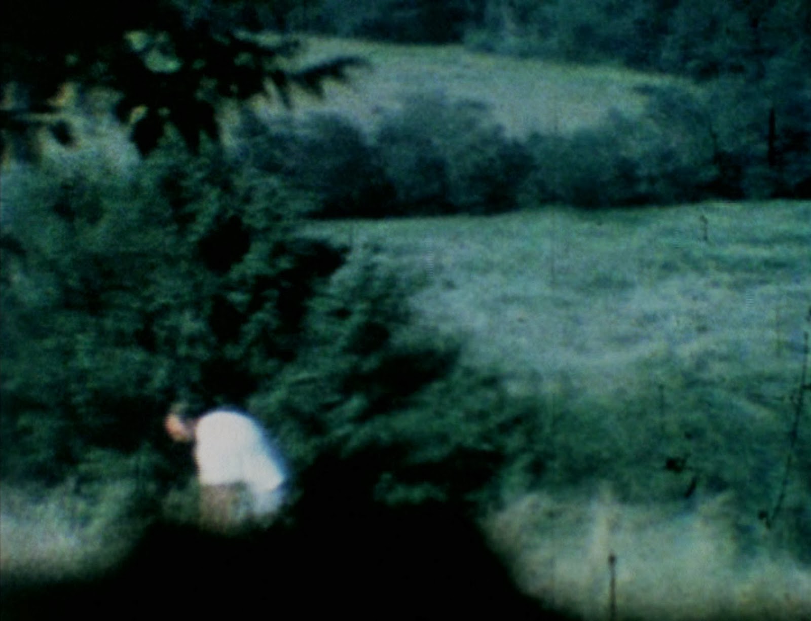 VISIONARY FILM Larry Gottheim Retrospectiva CGAI