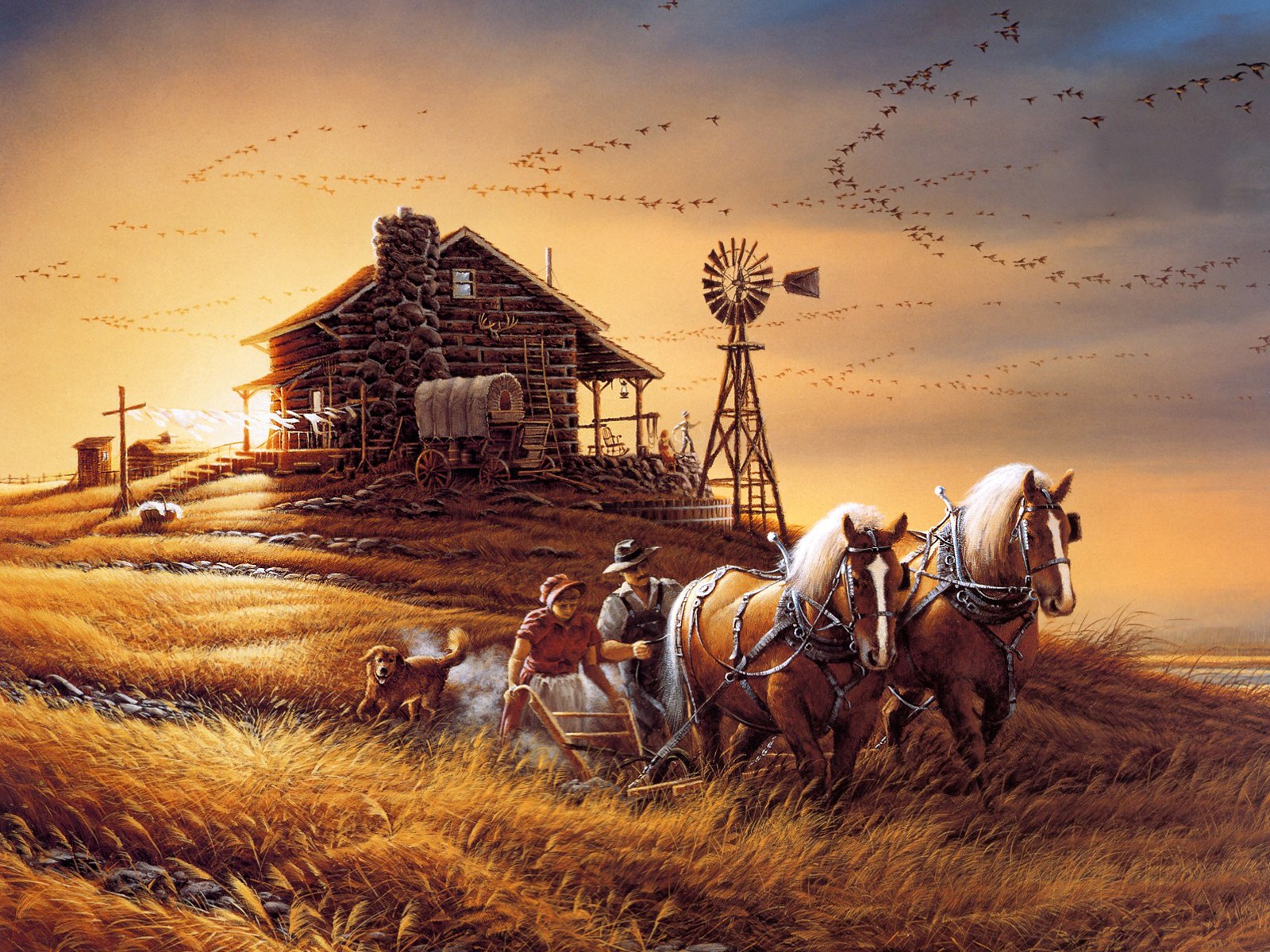 http://3.bp.blogspot.com/-mYtL4WZL3DU/TmhfJKT1_VI/AAAAAAAAAZ8/uI-4ueEKOQs/s1600/Terry_Redlin_Artwork_wallpaper_For_Amber_Waves_of_Grain.jpg