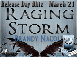 Description of a storm picture