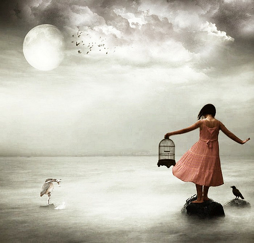 أوراق الحياة آية مجدى سجن الخيال