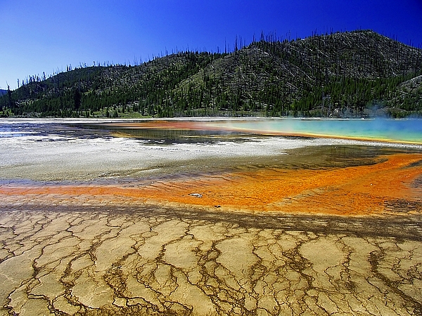 Grand Prismatic Spring (Parco Nazionale dello Yellowstone - USA) - Le Meraviglie della Natura
