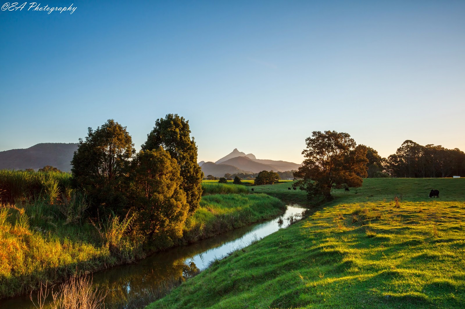 The Greatest of These is LOVE Tweed Valley, NSW