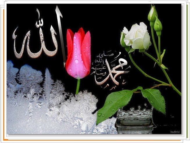 صور جميلة منوعة صور مناظر جميلة جدا ومنوعة