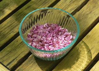 Redbud salad