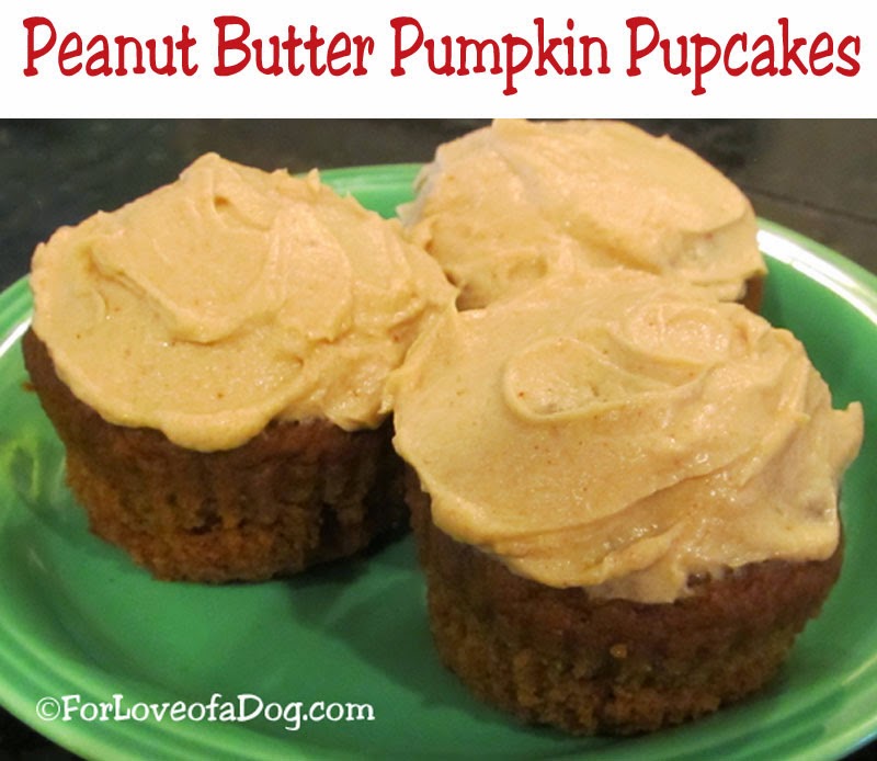 Talking Dogs at For Love of a Dog Rudy's Birthday Peanut Butter